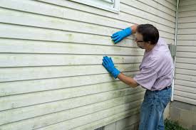 Best Aluminum Siding Installation  in Walce, LA